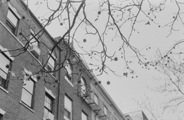 112825_sk5028_22at100_xtol12_9min_ (21).jpg