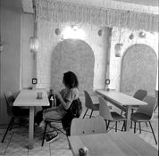 2025-11-23-0002.jpno more dogshit.jpg