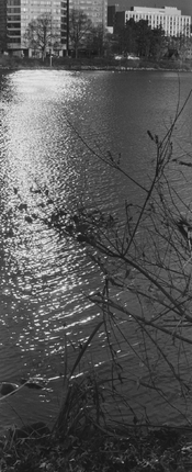 120525_agfa_solinar_22at100_xtol_12_9min_ (9).jpg