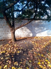 20251209_100020.jpg 20251209_100020.jpg