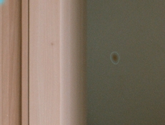 Screenshot 2025-12-12 at 10.36.06.jpg