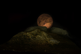 MICRO SCUPTUREFOR CAMERA INSTALATION copyrirght-John Hios _2401-96pstp-vue.jpg