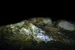 MICRO SCUPTUREFOR INSTALATION copyrirght-John Hios_2413vue.jpg