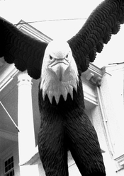 eagleDouble-X.jpg eagleDouble-X.jpg