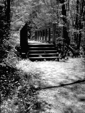 SchoolMtnRdTrailBridgePenS.jpg SchoolMtnRdTrailBridgePenS.jpg