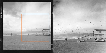 Crop example.jpg Crop example.jpg