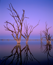 Lake Bonney afterglow_Barmera_SA.png