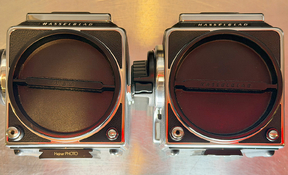 Blad-2.jpg