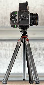 Blad-6.jpg