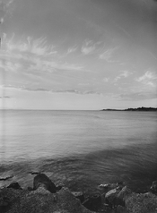 REP320-12232025-012w1-vue copy.jpg