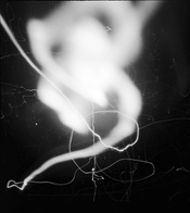 bare light drawing.jpg