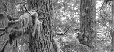 Screen Shot 2026-01-11 at 10.28.19 AM.jpeg