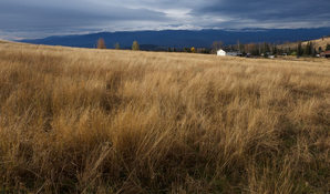 F7913295-ABEC-4609-AB2D-6345232CD0E8_1_105_c.jpg F7913295-ABEC-4609-AB2D-6345232CD0E8_1_105_c.jpg