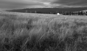 F7913295-ABEC-4609-AB2D-6345232CD0E8_1_105_c 1.jpg F7913295-ABEC-4609-AB2D-6345232CD0E8_1_105_c 1.jpg