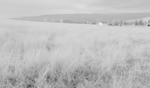 F7913295-ABEC-4609-AB2D-6345232CD0E8_1_105_c 2.jpg F7913295-ABEC-4609-AB2D-6345232CD0E8_1_105_c 2.jpg