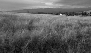 F7913295-ABEC-4609-AB2D-6345232CD0E8_1_105_c 3.jpg F7913295-ABEC-4609-AB2D-6345232CD0E8_1_105_c 3.jpg