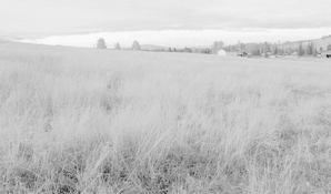 F7913295-ABEC-4609-AB2D-6345232CD0E8_1_105_c 4.jpg F7913295-ABEC-4609-AB2D-6345232CD0E8_1_105_c 4.jpg