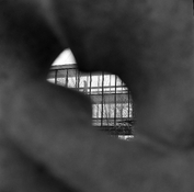 Peek-a-boo, I see you.jpg