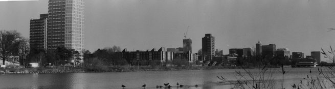 011626_ana_skopar_22at100_xtol_12_10min_ (9).jpg