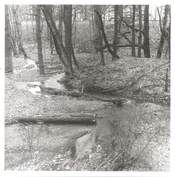 warren creek below hole-in-the-wall falls 20260117 frame009 print scaled.jpg