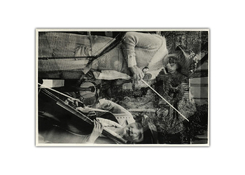 --00 044aaa copy2 copy.jpg