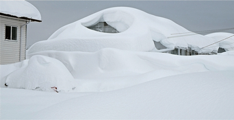 Quail Street record snow.jpeg