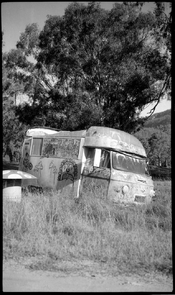 2025-03-05-0002 copy.jpg