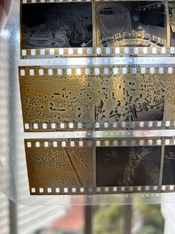 WhatsApp Image 2026-02-06 at 19.02.55.jpeg