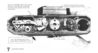 Screen Shot 2026-02-11 at 10.08.19 AM.png