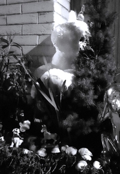 s20260217_211556.jpg s20260217_211556.jpg