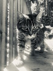 IMG_1091.jpg
