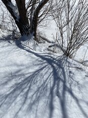 signal-2026-02-24-121130.jpeg