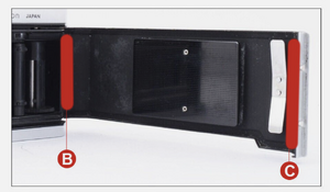 seal photo Nikkormat.png