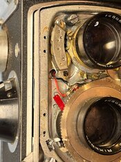 2026-02-19 19.46.40.jpg