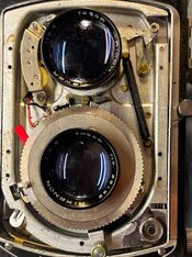 2026-02-19 19.46.38.jpg