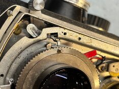 2026-02-19 19.46.54.jpg