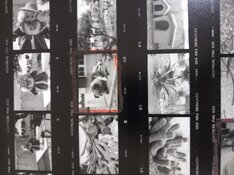 20260307_125501 (1).jpg