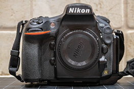 d810.jpg