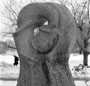 Return of Mister Smiley.jpg