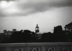10_crop_50pctjpg.jpg
