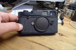 P1020104.JPG