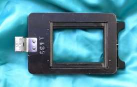 DSCN6919.JPG