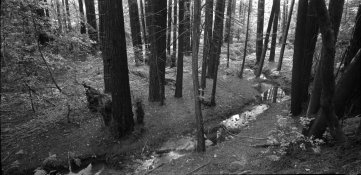 img003 copy.jpg