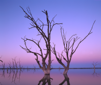 Lake_Bonney_BarmeraSA_6 Oct2012_FACEBOOK.png