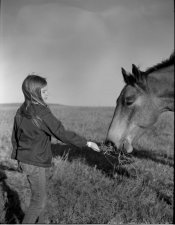 EnorHorseHike1.jpg