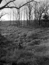 EnorHorseHike15.jpg