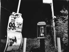 img015.jpg