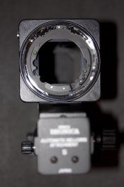 IMG_0962.jpg