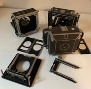 IMG_8251.jpeg IMG_8251.jpeg