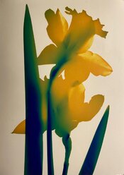 WhatsApp Image 2026-03-17 at 22.16.37.jpeg